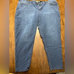 Dark Wash Democracy Jean, Size 22W